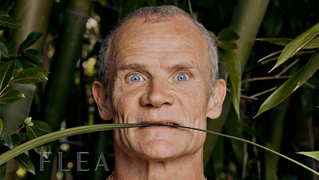 FLEA de RED HOT CHILI PEPPERS, anuncia álbum debut y comparte el sencillo ‘Traffic Lights’